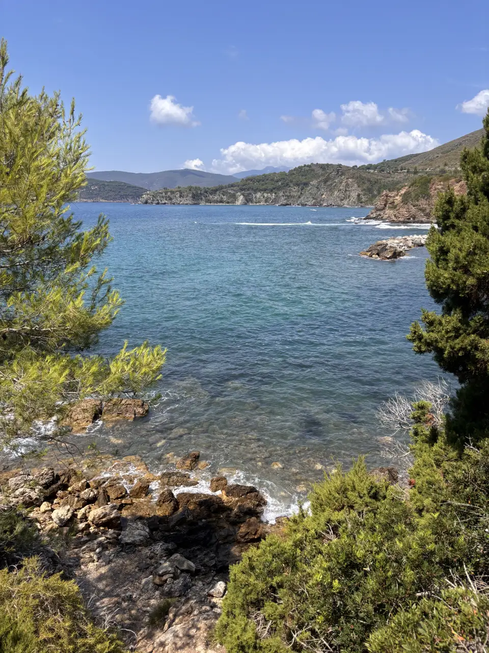 Blick von oben über die Bucht auf das türkise Wasser und die bewaldete Küste gegenüber.