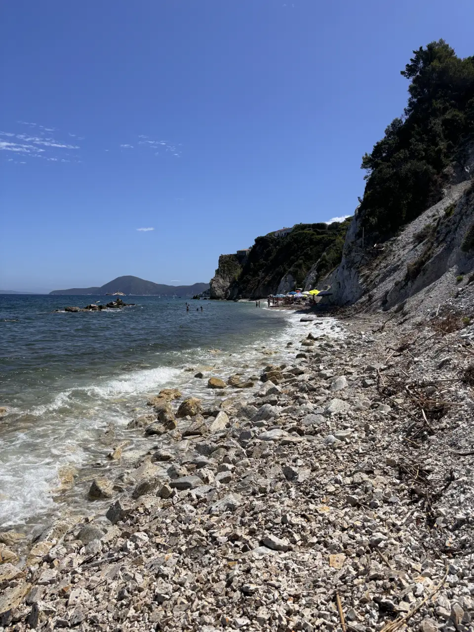 Der Kiesstrand zieht sich an einer bewaldeten Felsnase entlang; am Wasser liegt Treibholz.